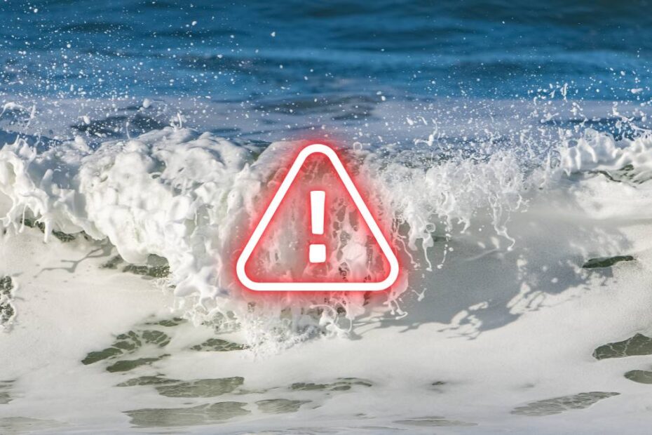 Spuma de mare toxică pune în pericol vacanțele