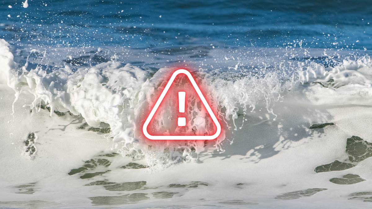Spuma de mare toxică pune în pericol vacanțele
