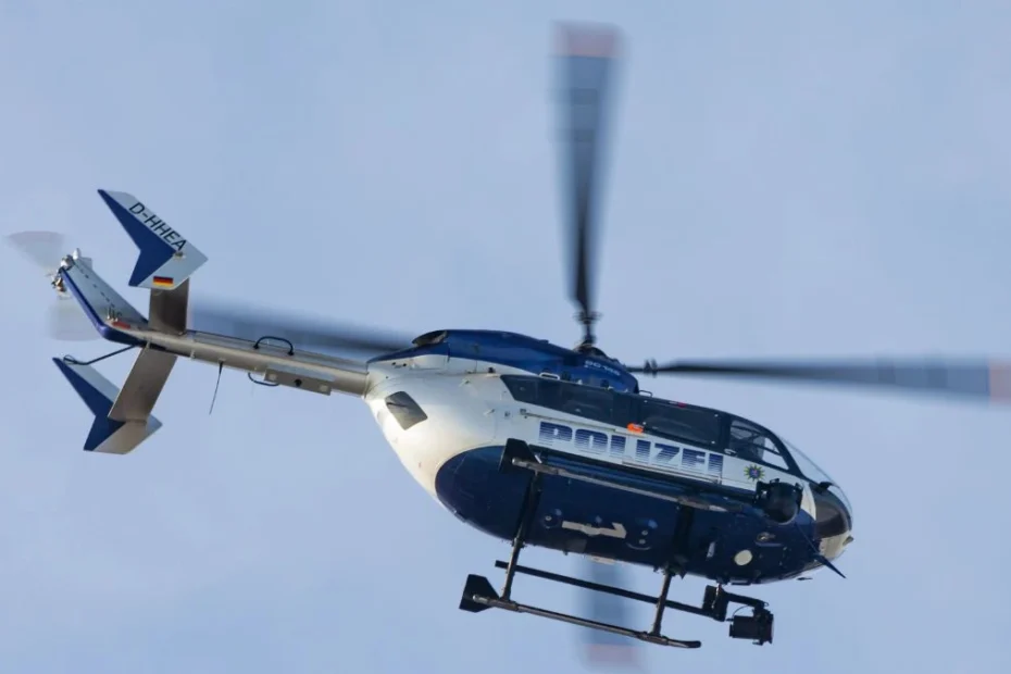 alarmă în Germania puma