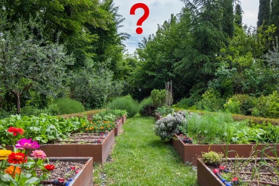 Plantă periculoasă în grădini: