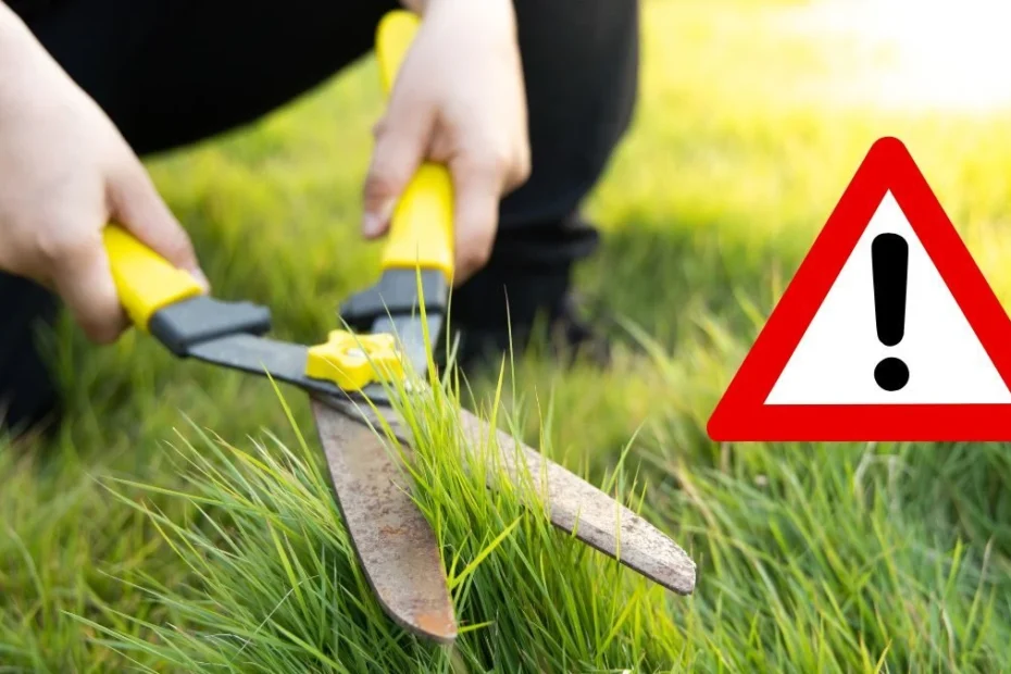 Lucrările în grădină strict interzise în iunie