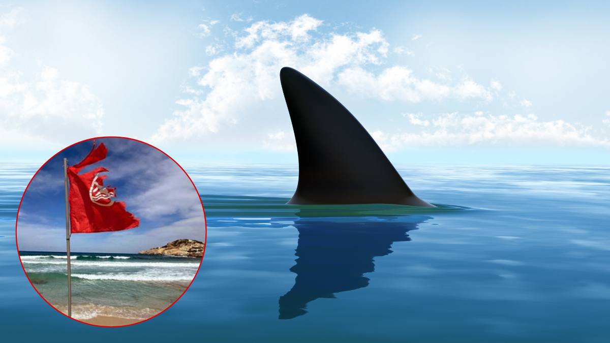 Turistă atacată de rechin în Marea Mediterană
