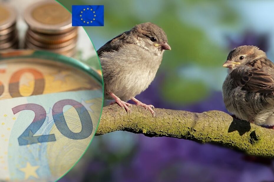 Noi bancnote euro