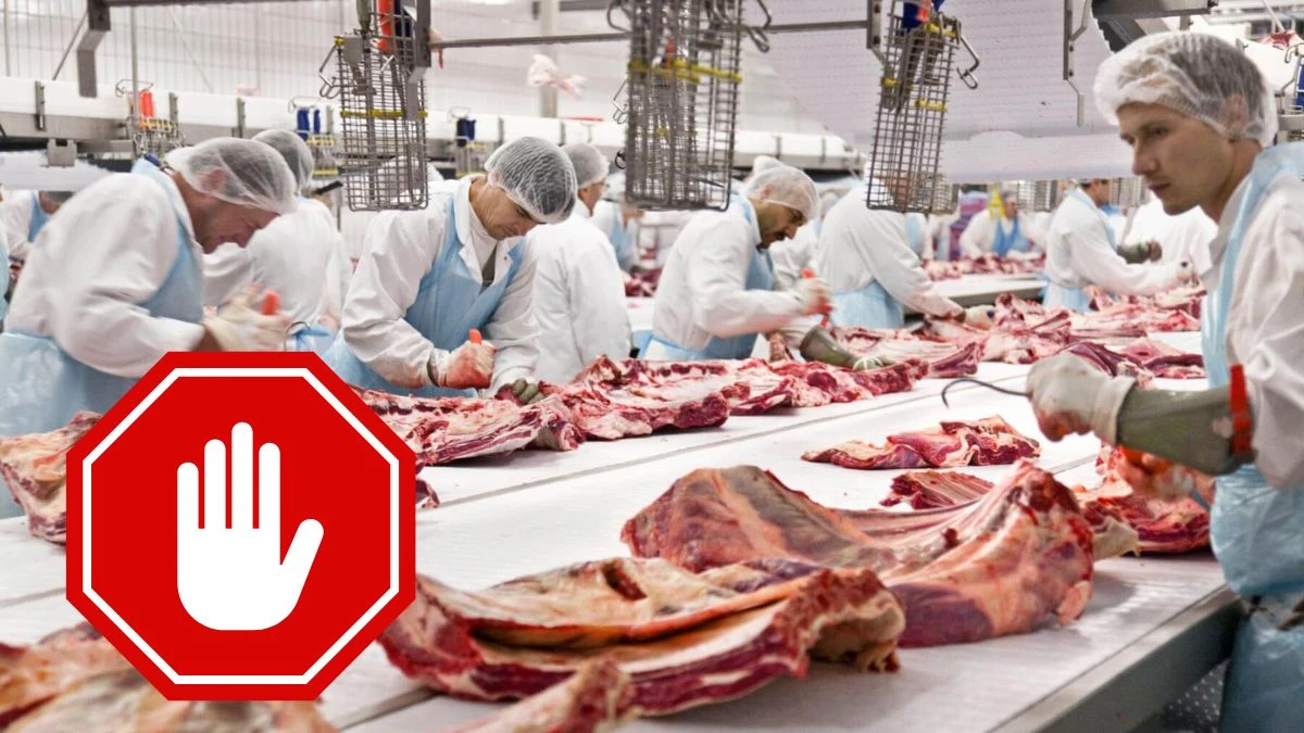 Znany producent wędlin ogłosił upadłość