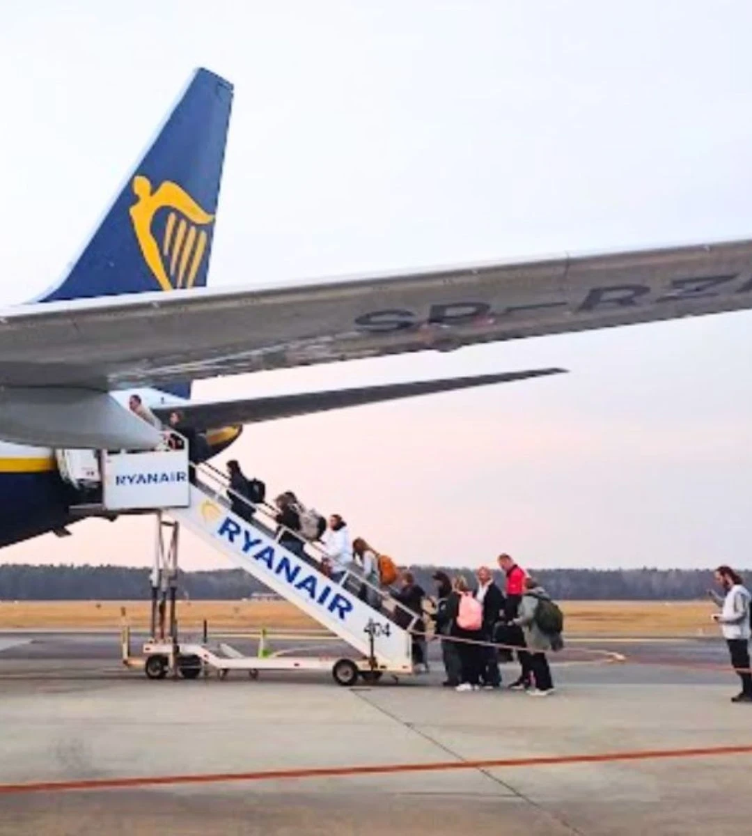 Ryanair odmawia wpuszczania psów do kabiny