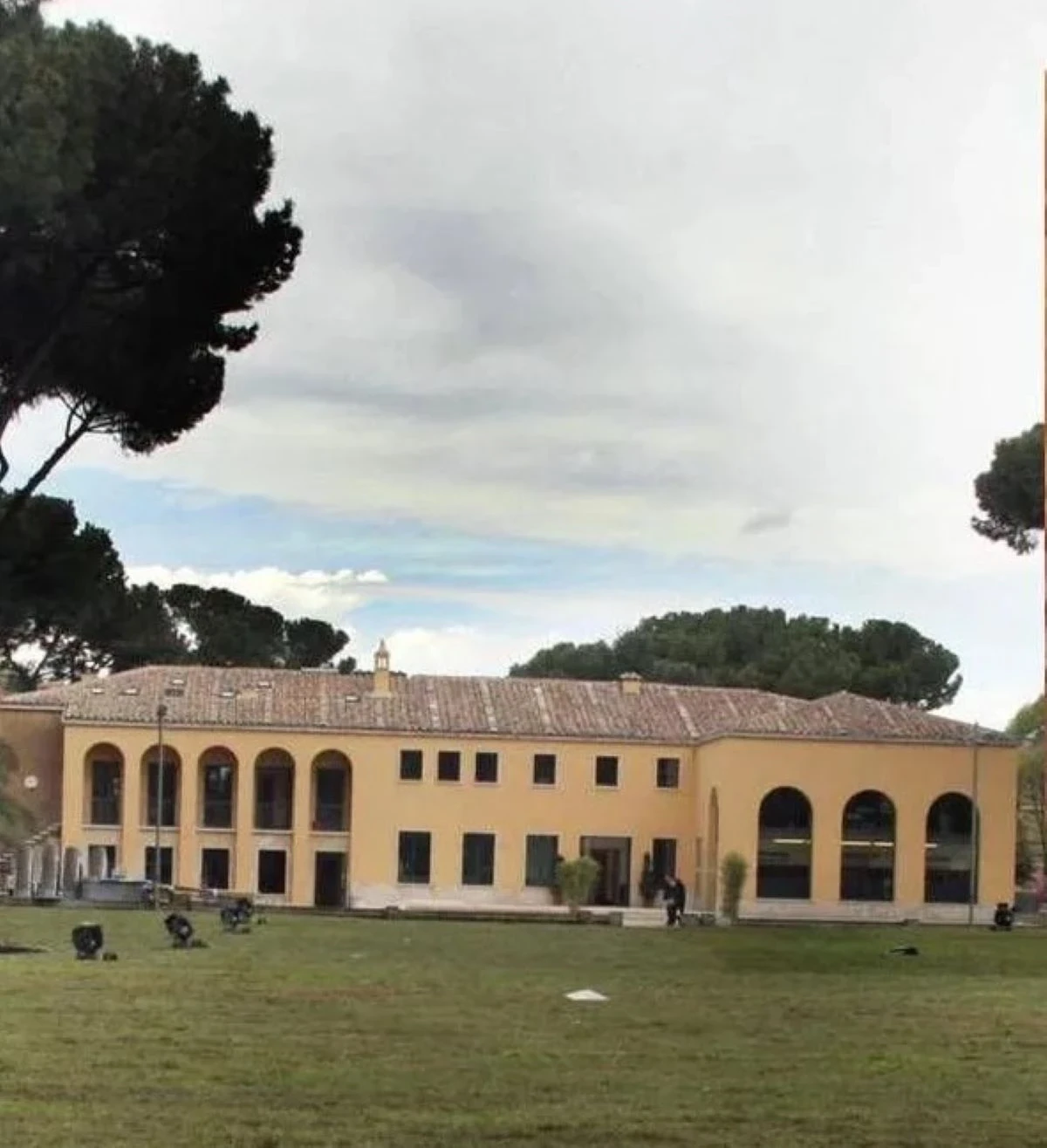 Căutări Dispariție