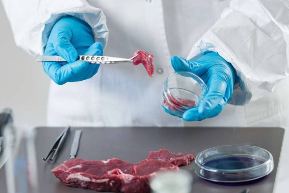 Mâncare din laborator pe rafturile supermarketurilor UE