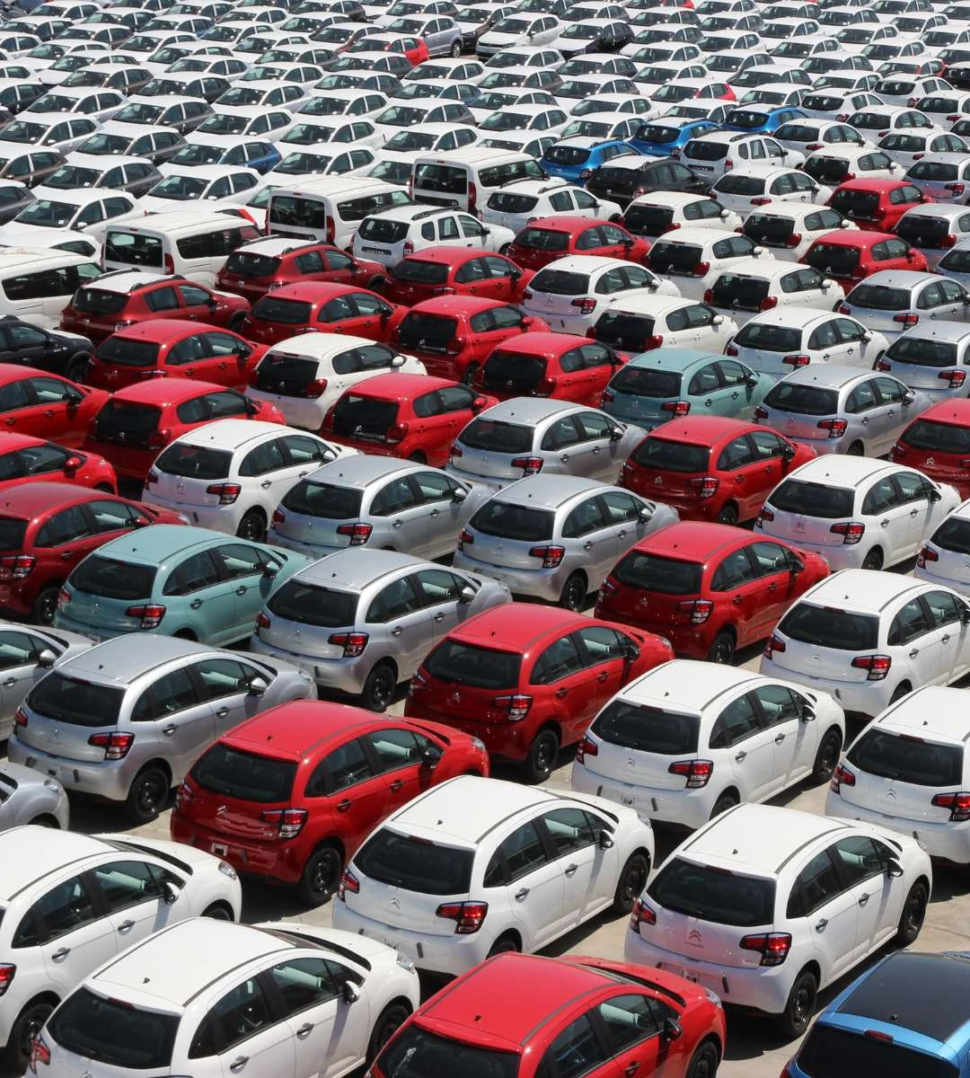 reguli șoferi UE 2026