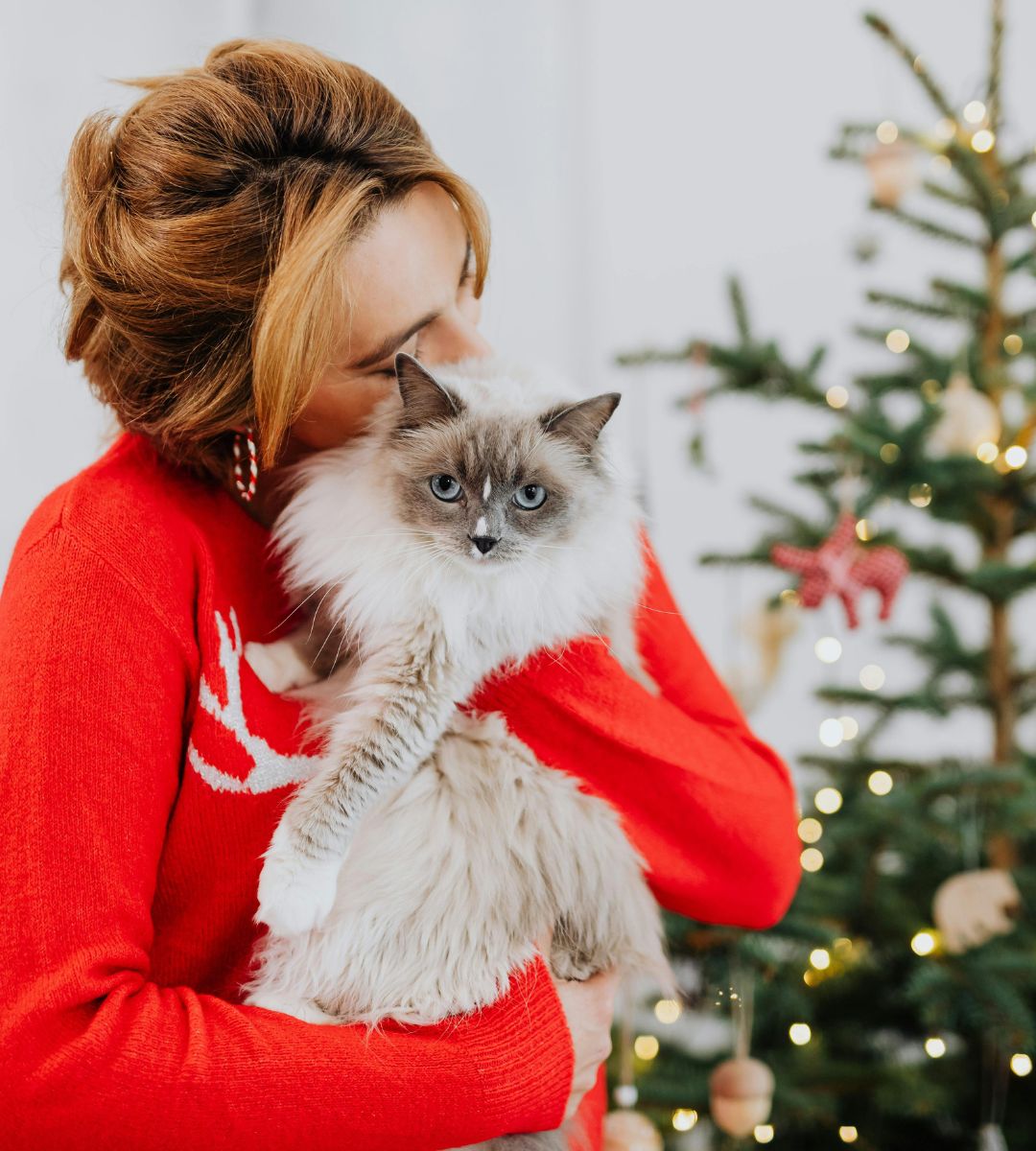 10 urări de Crăciun în germană, cu traducere în română