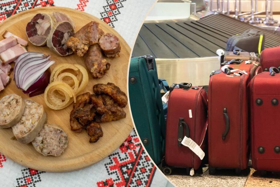 carne de porc în bagaje Germania