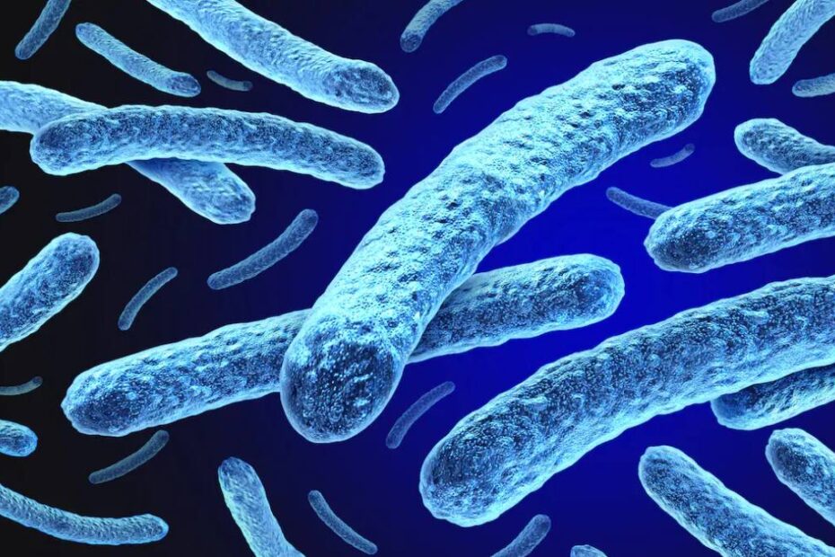 cazuri de lepră țări europa