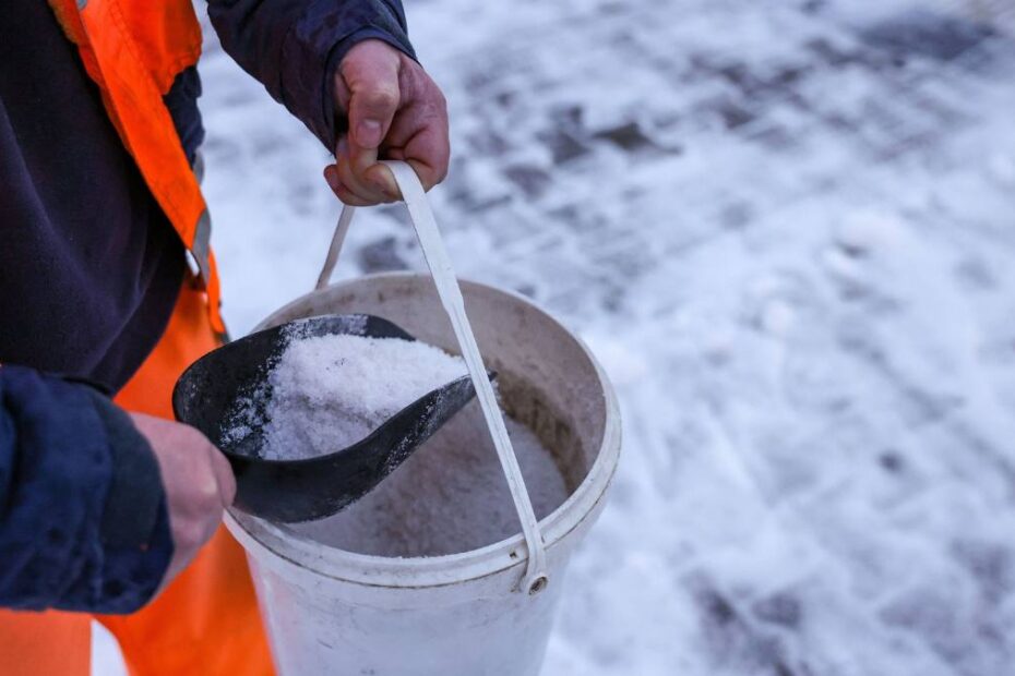 interdicție sare trotuare iarna