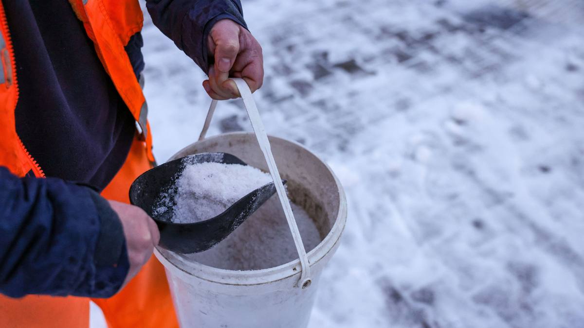 interdicție sare trotuare iarna