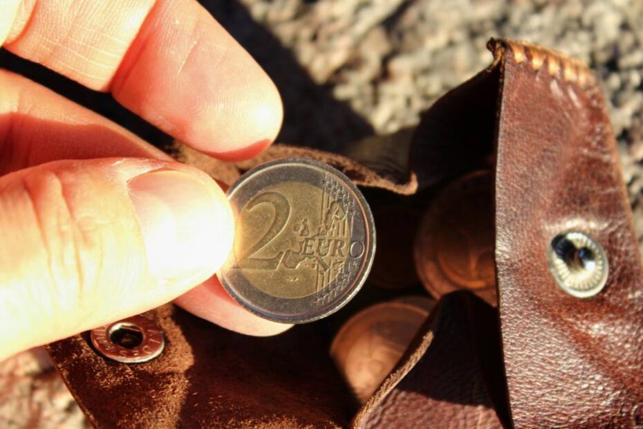 Țara care va trece la euro în 2026