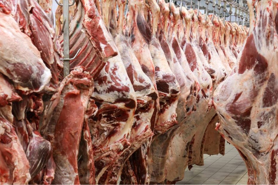 munca la abator olanda