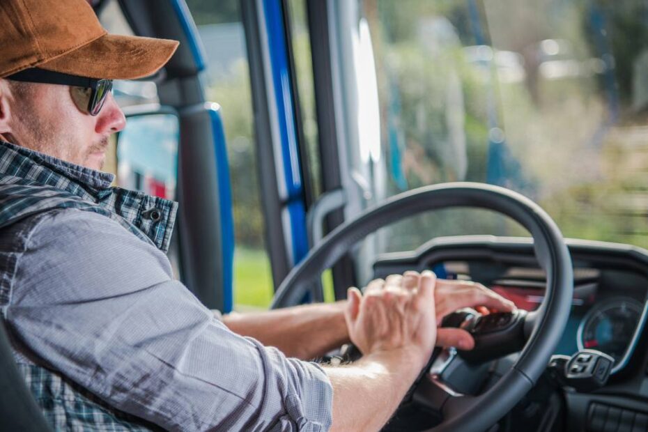 salarii șoferii de camion în Germania 2025