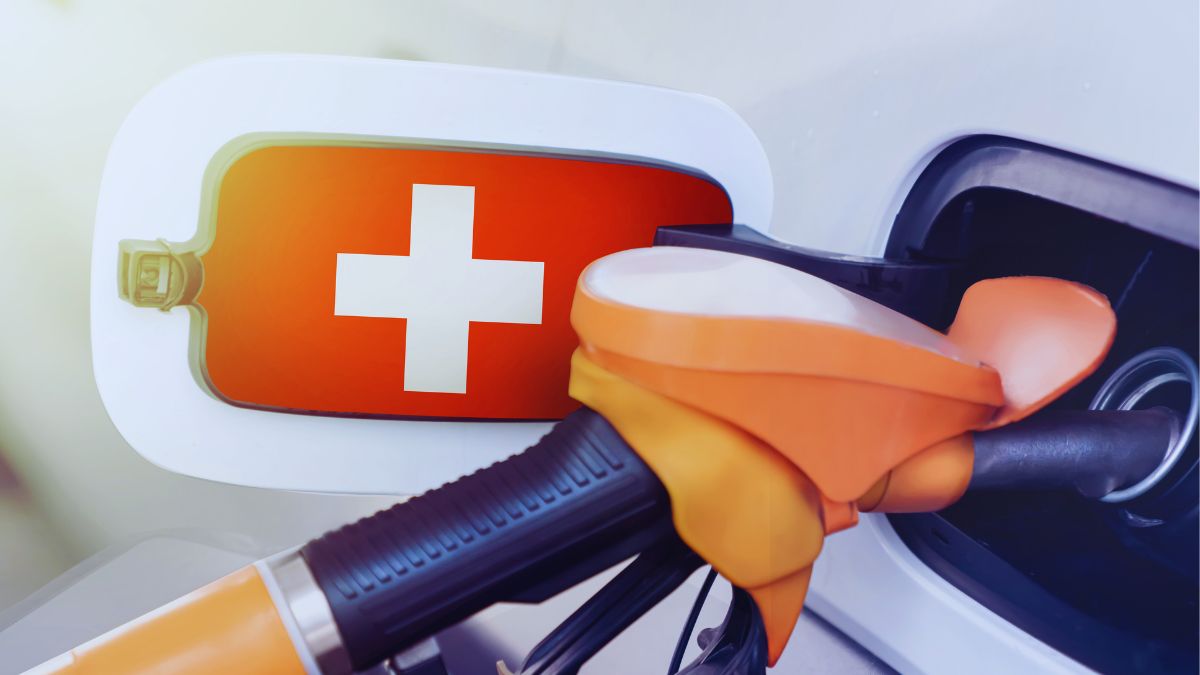 vinieta elveția 2026