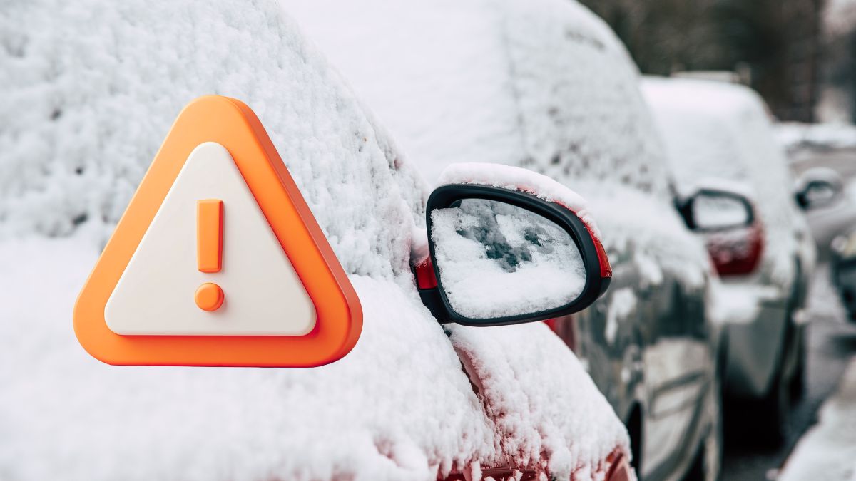 Cod portocaliu în Olanda