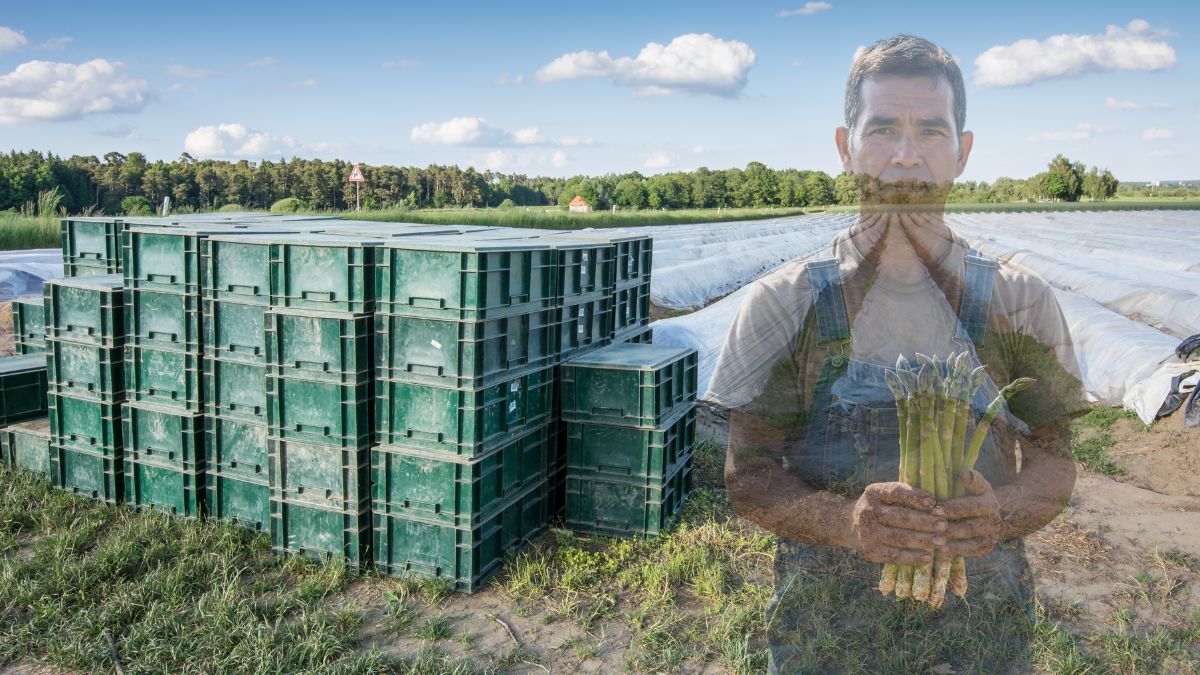 Reducere salarii pentru sezonierii români din Germania