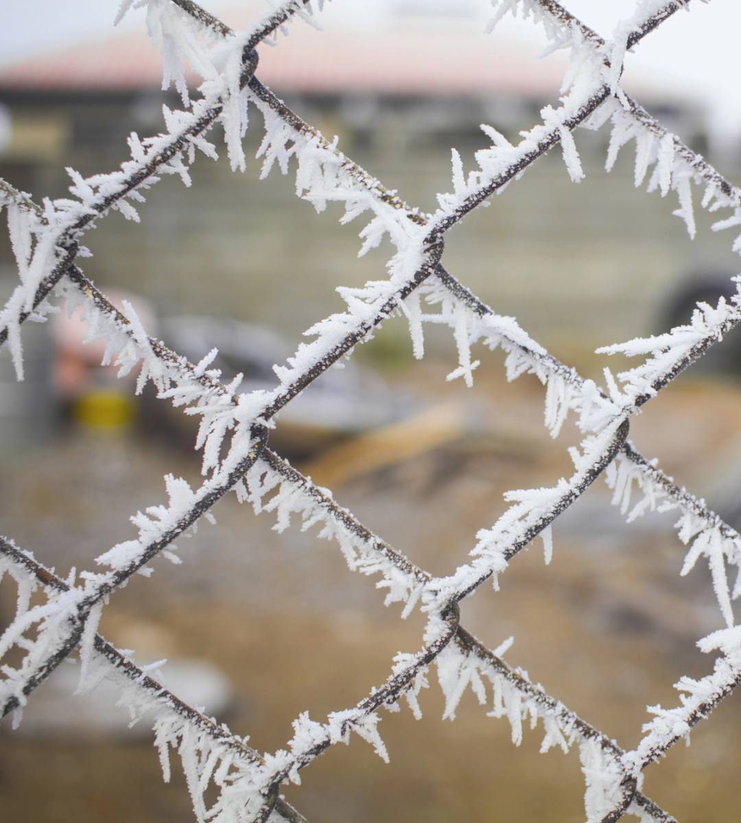 val de ger Germania-iarna-2026