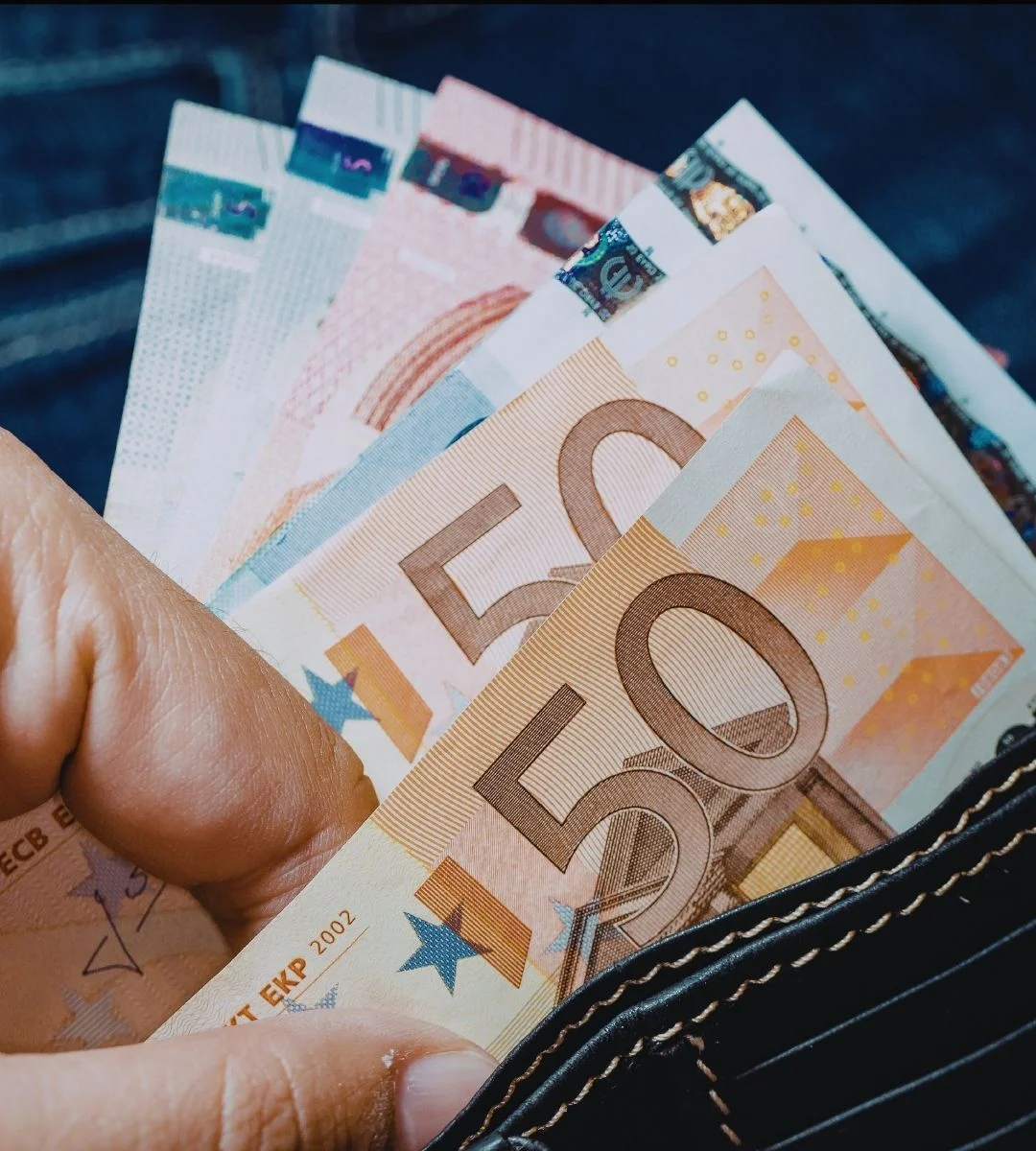 România zona euro 2026