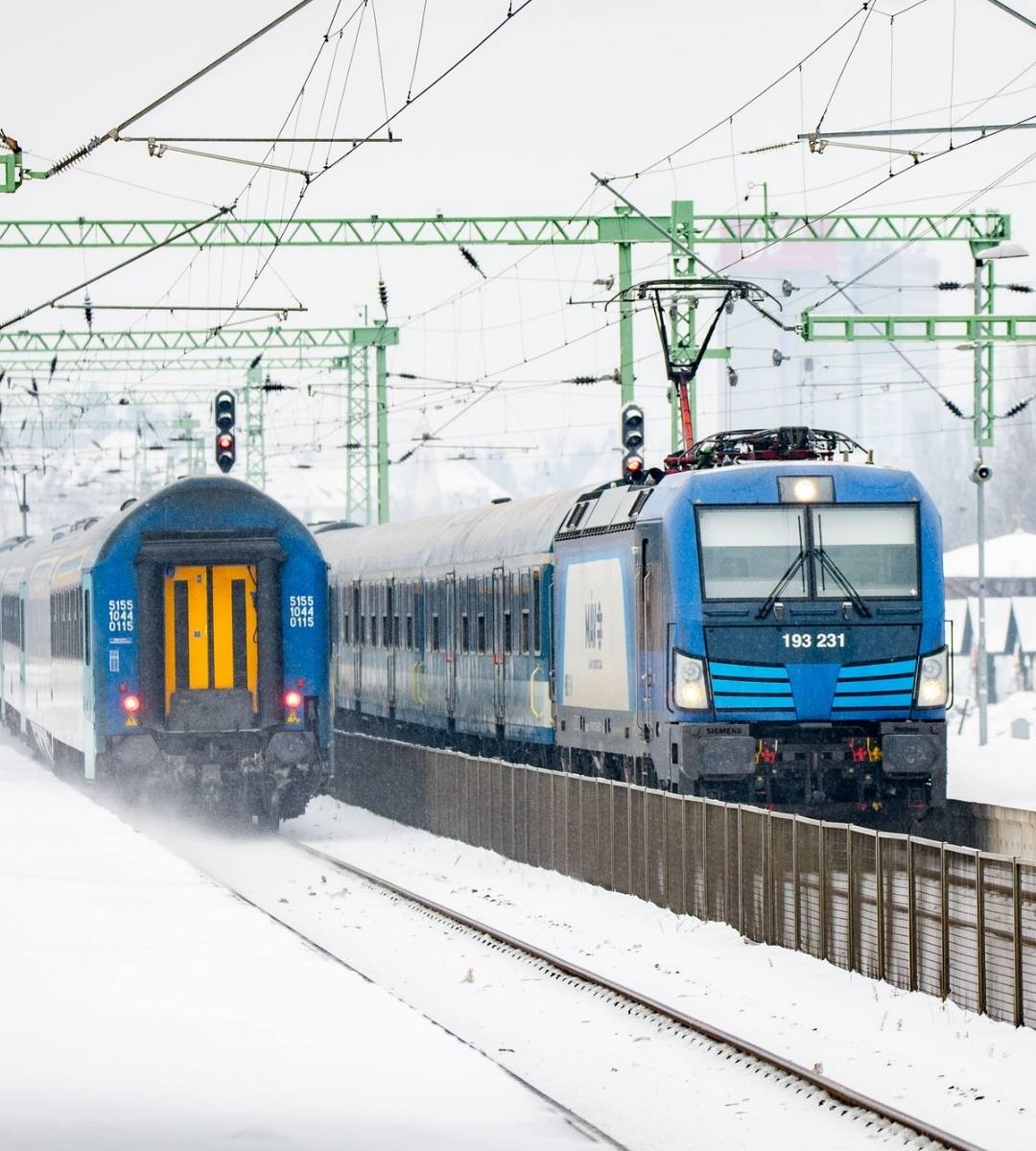 Un ministru din Ungaria cere trimiterea romilor la muncă