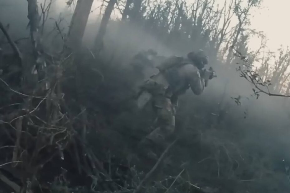 Germania își pregătește sistemul medical pentru război