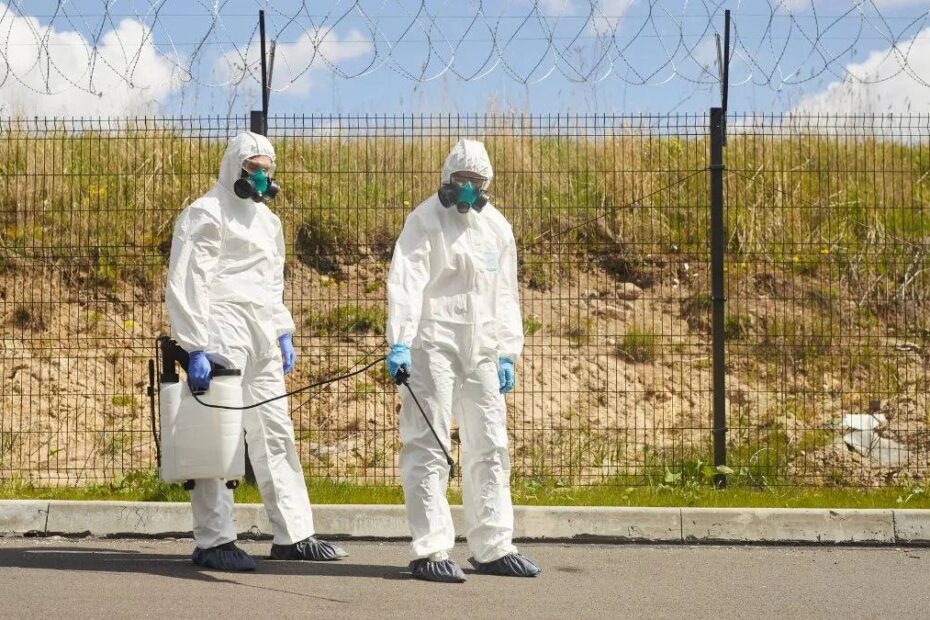 Germania carantină bolii Newcastle