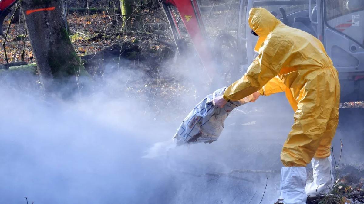 Paște Germania restricții