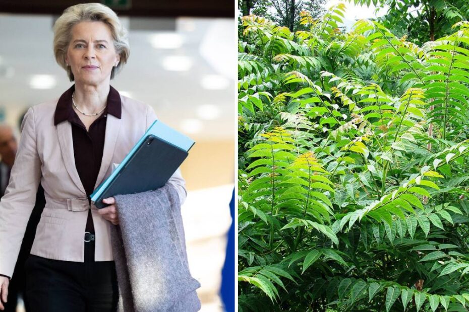 Plante interzise de UE