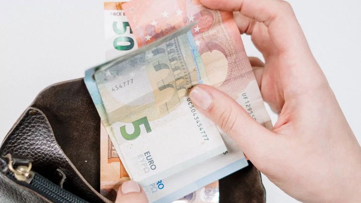 Germania se pregătește să rescrie regulile plăților cu numerar