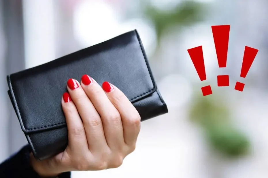 Germania se pregătește să rescrie regulile plăților cu numerar