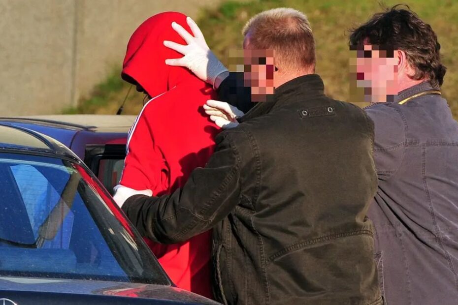 Jgheaburi, 4.000 de euro și un bătrân de 90 de ani: trei români, arestați în Germania