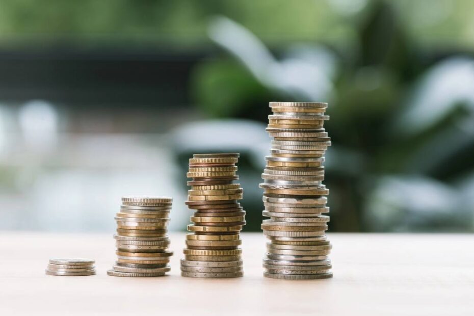 salariul minim Germania UE