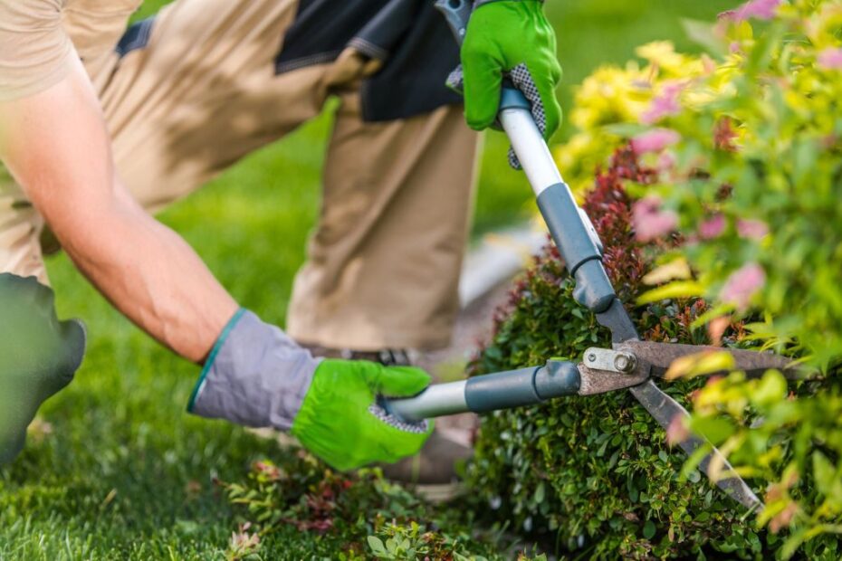 activități de grădinărit interzise în weekendul de Paște