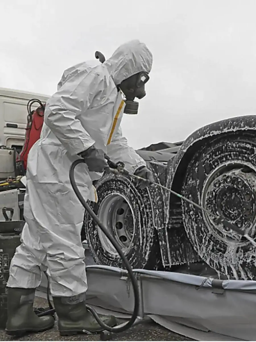 Pesta porcină africană se extinde în Germania