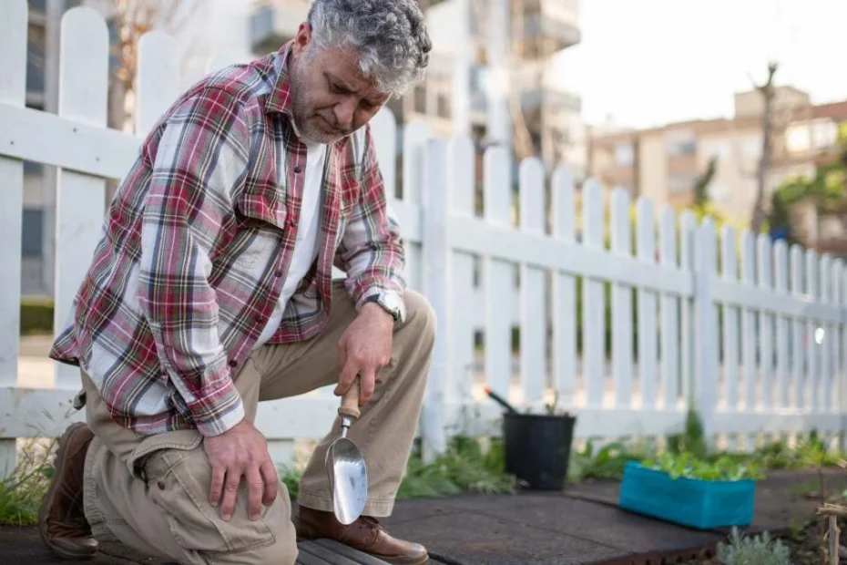 Date noi despre pensionarii din Germania