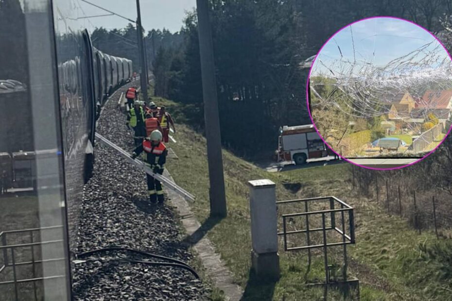 tren lovit de o linie electrică în Germania