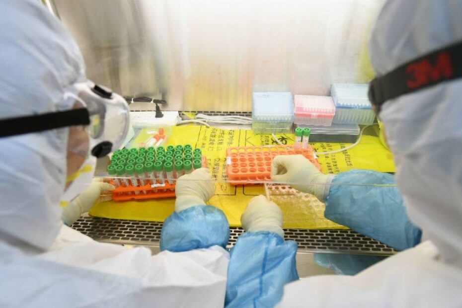 Vaccinul covid-19 infecția cu hantavirus