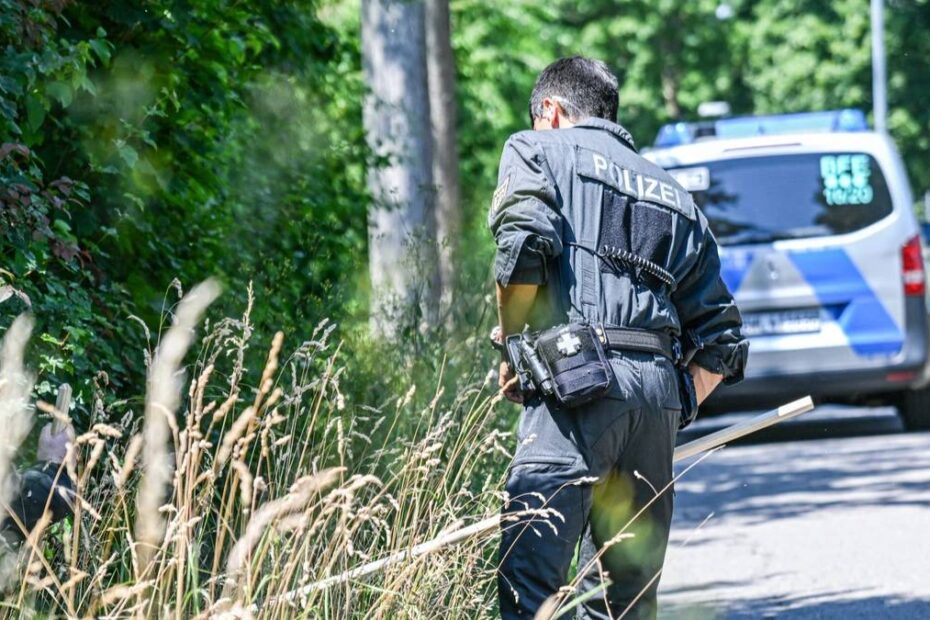 bebeluș găsit mort Germania