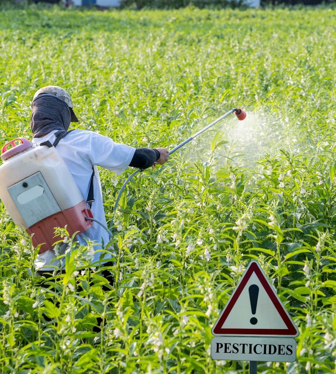 Boala Parkinson cauzată de pesticide, recunoscută oficial ca boală profesională în Germania