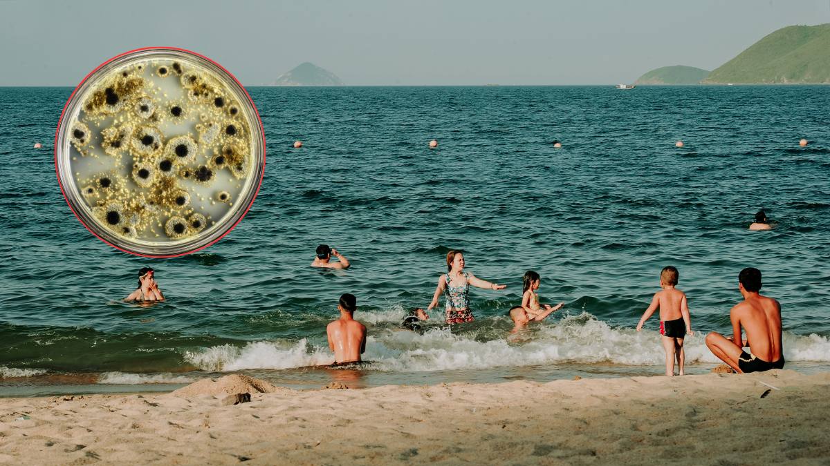 Bacterii carnivore în Marea Baltică