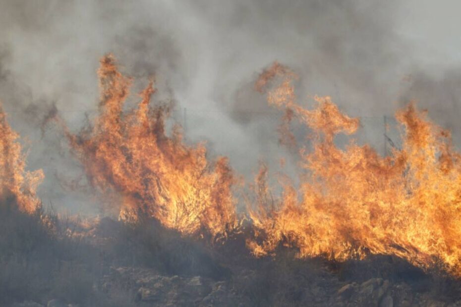 Incendiu Germania Armata intervine