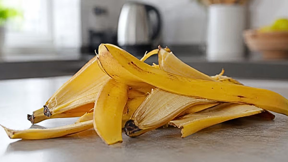 Coji de banane pregătite pentru compost și reutilizare casnică