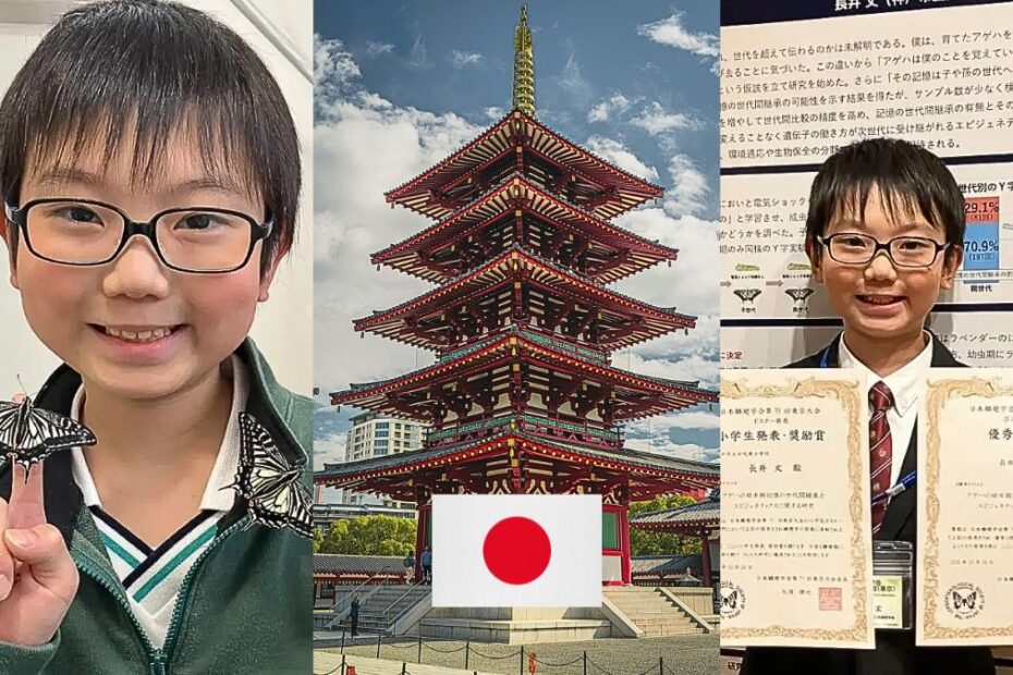 Un copil de 10 ani din Japonia a uimit oamenii de știință: fluturii ar putea păstra amintiri din viața de omidă. Iar indiciile merg și mai departe
