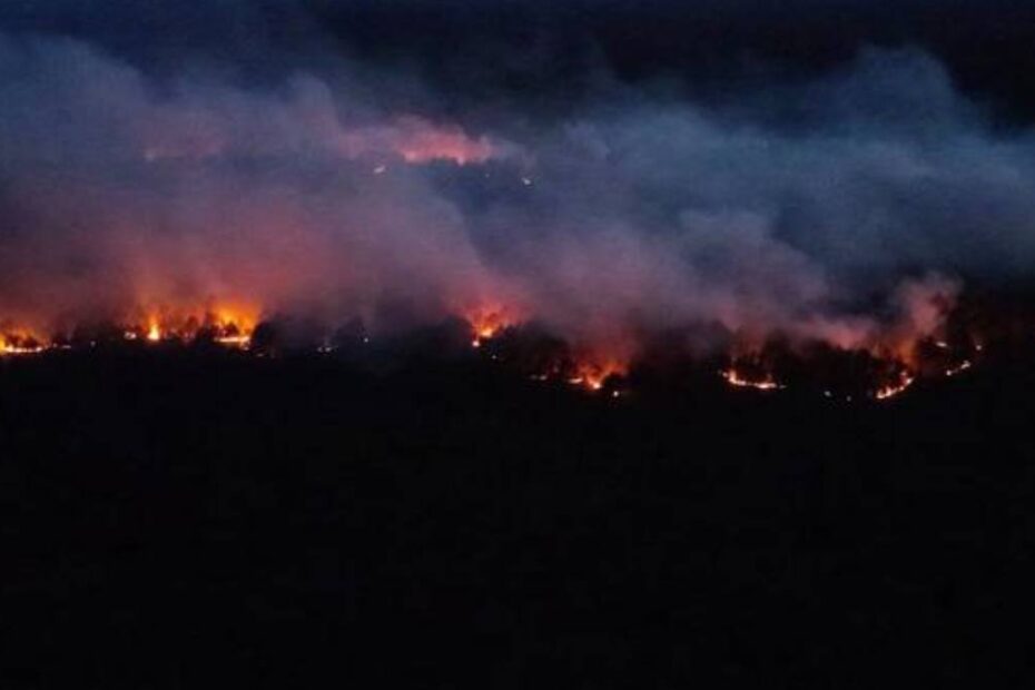 Incendiu de pădure uriaș în Germania.