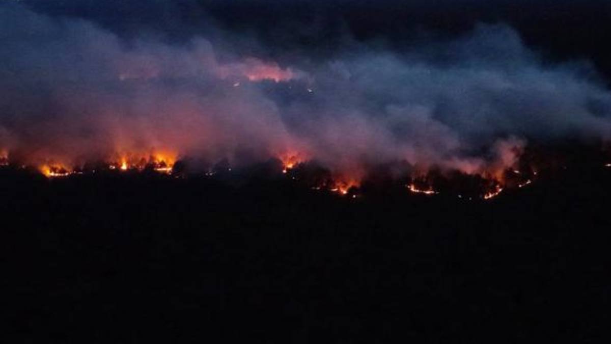 Incendiu de pădure uriaș în Germania.