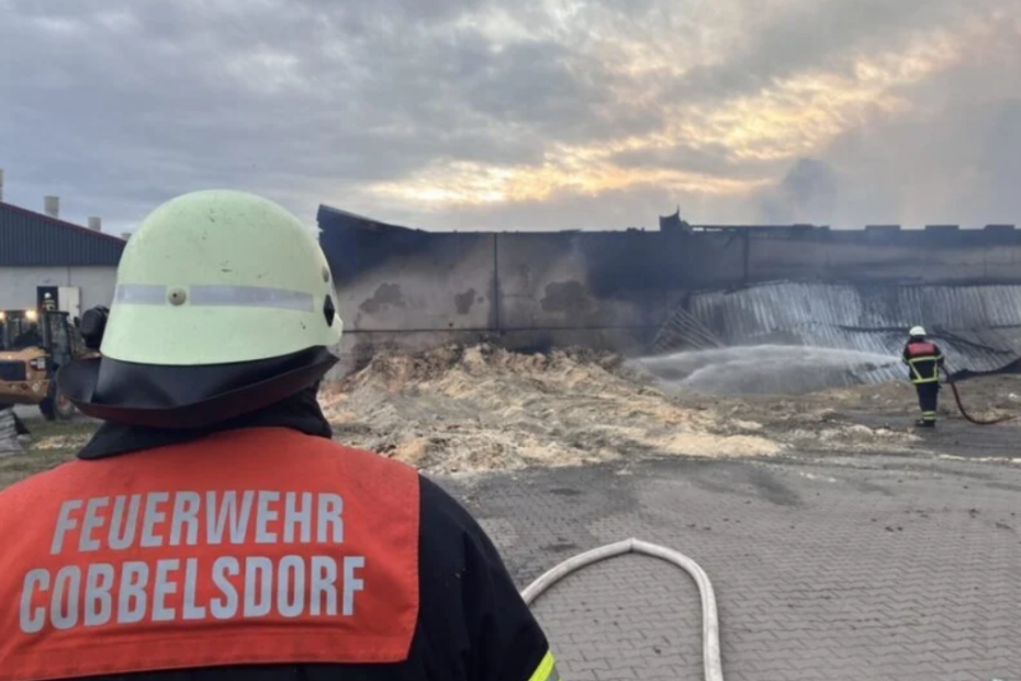 Incendiu devastator în Germania: aproximativ 20.000 de porci au murit într-o fermă, cinci pompieri au fost răniți