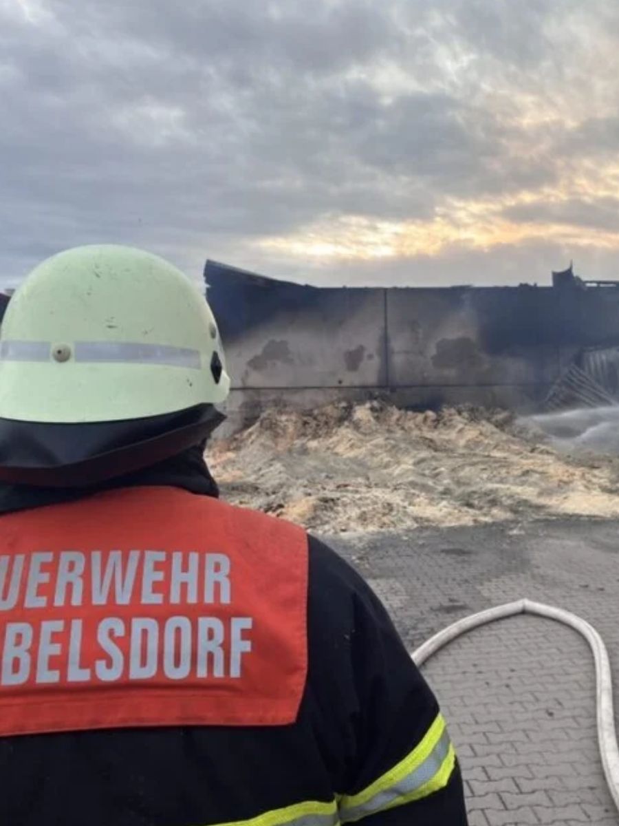 Incendiu devastator în Germania: aproximativ 20.000 de porci au murit într-o fermă, cinci pompieri au fost răniți