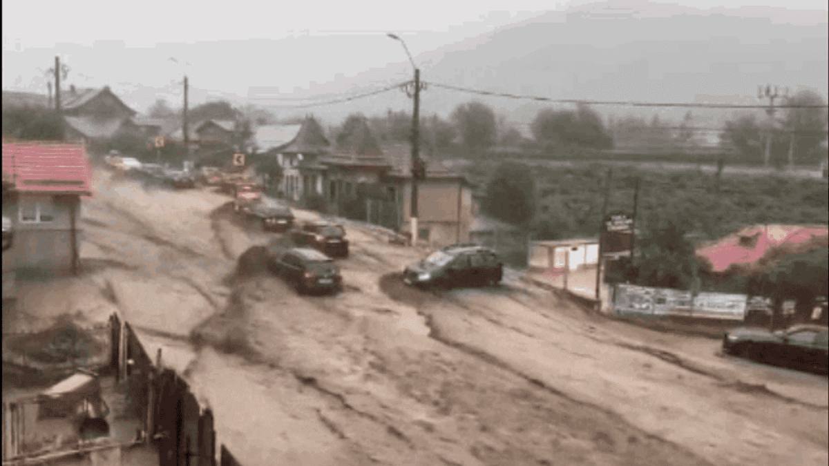 viitură Bușteni